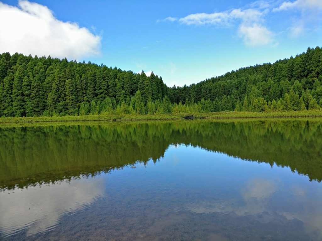 lago
